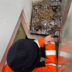 Pigeon Guano Removal<br>43 Beak Street<br>London