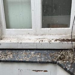 Pigeon Guano Removal<br> 43 Beak Street<br> London